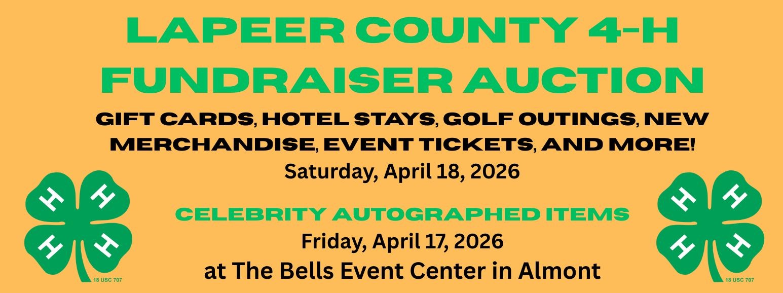 4-H Auction FB Banner.jpg